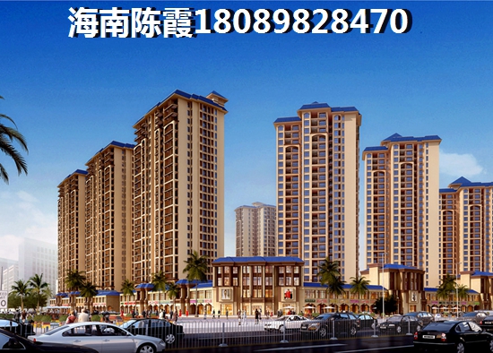 2025乐东九所小户型优势和不足，乐东九所小户型一览2025！