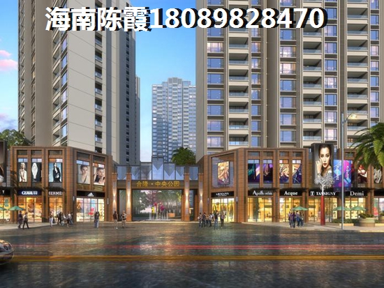 乐东龙栖湾二手房VS新房“候鸟”选择指南究竟哪个更值得入手？