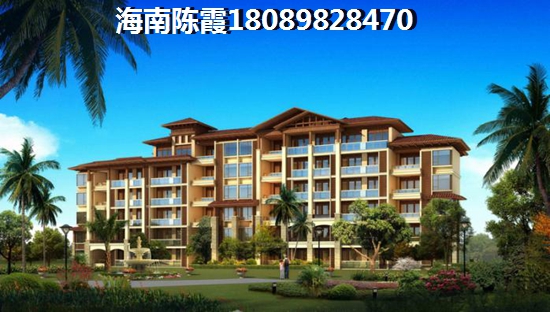 乐东九所公寓现价格怎么样？